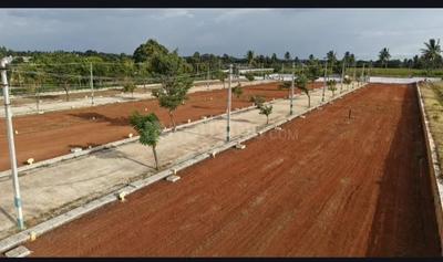 Tata Devanahalli Plot View 2