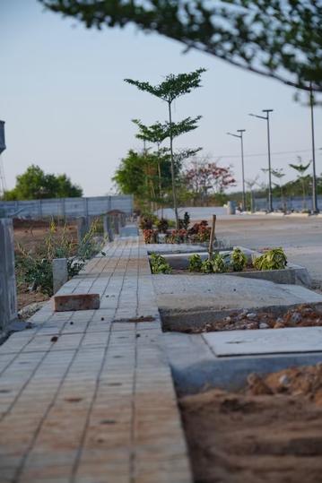 Hampa Pura Main Image 1