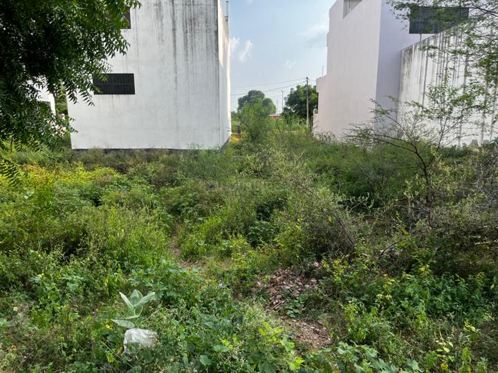 Jagatpura Main Image 1