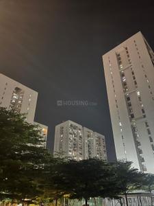 Image of 1050 Sq.ft 3 BHK Apartment / Flat for rent in Godrej Infinity, Mundhwa, Pune for Rs. 47000