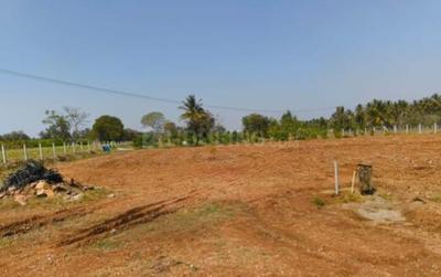 Image of 1200 Sq.ft Residential Plot / Land for sale in Varuna, Mysore for Rs. 13300000