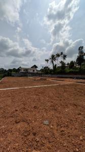 Image of 1740 Sq.ft Residential Plot / Land for sale in Pukkattupady, Kochi for Rs. 2700000