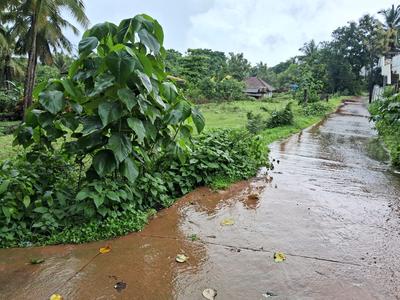 Image of 3000 Sq.ft Residential Plot / Land for sale in Mulki, Mangalore for Rs. 3200000