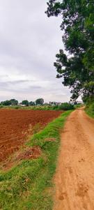 Image of 43560 Sq.ft Residential Plot / Land for sale in Mangalpally, Ranga Reddy for Rs. 9000000
