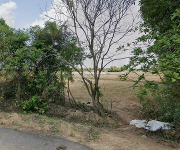 Image of 3600 Sq.ft Residential Plot / Land for sale in Panaiyur, Sholinganallur, Chennai for Rs. 50000000