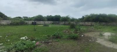 Dabha Plot View 3