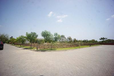 Image of 2323 Sq.ft Residential Plot / Land for sale in Kolat, Ahmedabad for Rs. 80000000