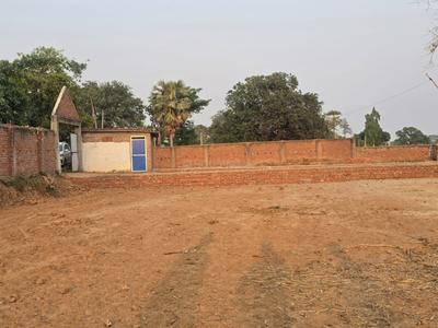 Bihta Plot View 3