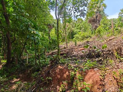 Image of 2711 Sq.ft Residential Plot / Land for sale in Nenmara, Palakkad for Rs. 2500000