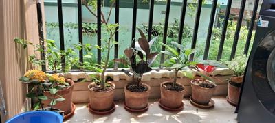 Balcony Image of 790 Sq.ft 2 BHK Apartment / Flat for sale in Behala Kolkata for Rs. 3300000