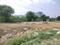 subhash colony Plot View 2