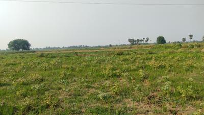 Khusrupur Plot View 3