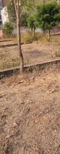 Satya mein savni Plot View 1