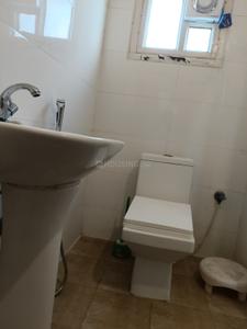 Bathroom Image of 1000 Sq.ft 2 BHK Apartment / Flat for rent in Nampally Hyderabad for Rs. 25000