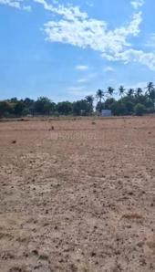 Image of 1306 Sq.ft Residential Plot / Land for sale in Kundadam, Tiruppur for Rs. 600000