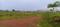 Patrapoda Plot View 2