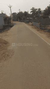 Hesal Plot View 1