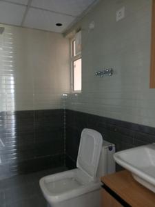 Common Bathroom Image of 900 Sq.ft 3 BHK Apartment / Flat for sale in ROF Aalayas Phase 2, Sector 108 Gurgaon for Rs. 7500000