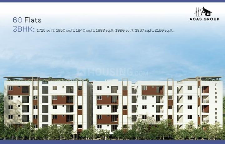 Amaanee Terra Groves Main Image 1