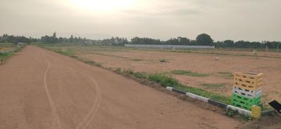 Residential Plot