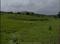 Girnare Plot View 2
