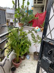 Balcony Image of 686 Sq.ft 2 BHK Apartment / Flat for sale in Khirki Extension New Delhi for Rs. 5500000