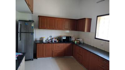Kitchen Image of 1900 Sq.ft 3 BHK Apartment / Flat for rent in Kotturpuram Chennai for Rs. 100000