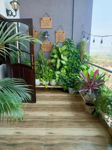 Balcony Image of 3200 Sq.ft 4 BHK Apartment / Flat for sale in Acropolis The Ark Voyage To The Star Tower E Annex, Kondhwa Pune for Rs. 24000000
