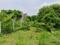 New Gotri Main Image 1