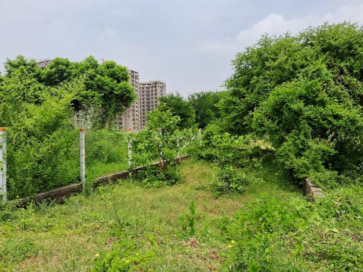 New Gotri Main Image 1