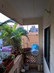 Balcony Image of 1100 Sq.ft 2 BHK Apartment / Flat for sale in Kondhwa Pune for Rs. 3400000