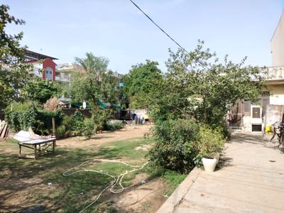 Sector 9 Plot View 2
