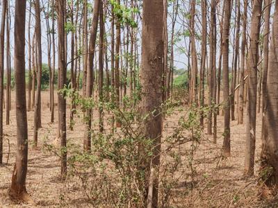 Image of 2268 Sq.ft Residential Plot / Land for sale in Kamkole, Sangareddy for Rs. 2000000