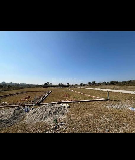 Bhauwala Main Image 1