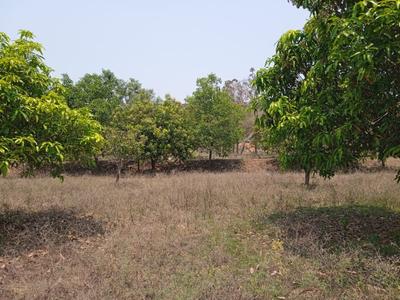 Residential Plot