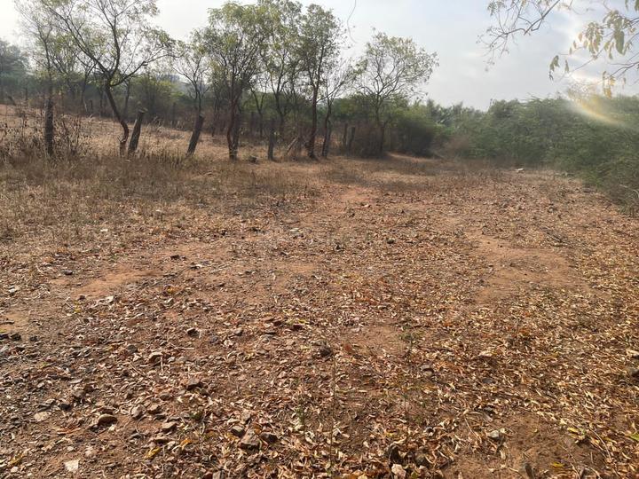 IOB Colony Main Image 1
