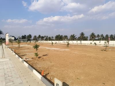 Residential Plot