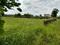 Sanand GIDC, Sanand Main Image 1