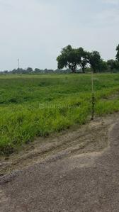 Image of 6300 Sq.ft Residential Plot / Land for sale in Datrenga, Raipur for Rs. 3465000