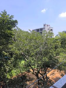 Bedroom Three Image of 3150 Sq.ft 5 BHK Apartment / Flat for sale in Vajarahalli Bengaluru for Rs. 29000000