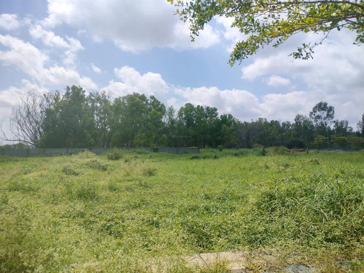 AP Township Main Image 1