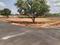 Ramavaram Plot View 2
