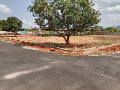 Ramavaram Plot View 2