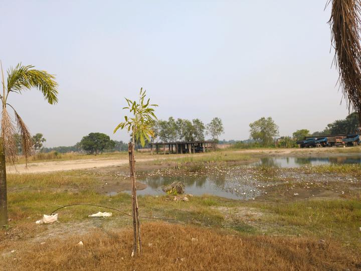 Metroplex City Main Image 1