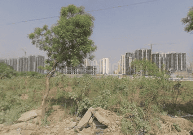 Sector 37C Main Image 1