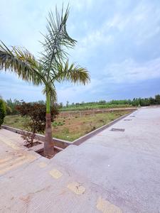 Biharigarh Plot View 3