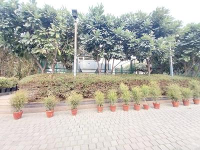 Image of 1645 Sq.ft 3 BHK Apartment / Flat for sale in Bestech Park View Ananda, Sector 81, Gurgaon for Rs. 18000000