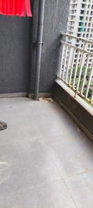 Balcony Image of 650 Sq.ft 2 BHK Apartment / Flat for rent in Bhalchandra Upvan, Punawale Pune for Rs. 20000