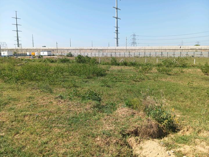 Vatika Express City Plots Main Image 1