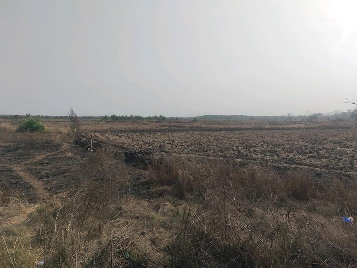 Bhoomi Plots in Kelvane Main Image 1